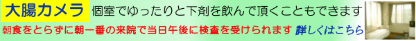 大腸カメラ(大腸内視鏡検査)は個室でゆっくりと