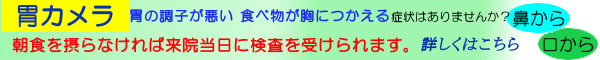 胃カメラ(胃内視鏡検査)は当日受けられます